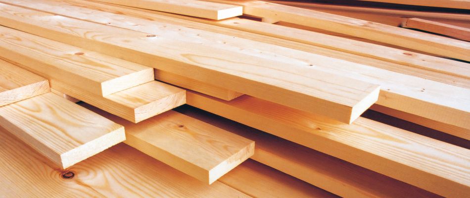 timber 1